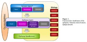 ILAE classification of the epilepsies